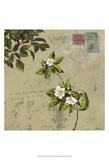 Postage III