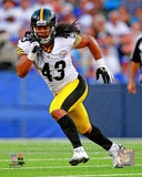 Troy Polamalu 2012 Action