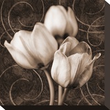 Sepia Tulip I