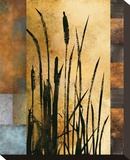 Sawgrass I