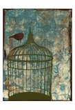 Birdcage