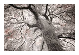 Glowing Tree