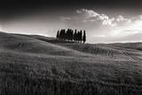 Cypress Cluster