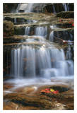 Waterfall Whitecap Stream