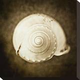 Cochlear I