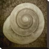 Cochlear II