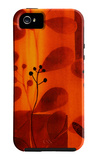 Sun Kissed Silhouette IV iPhone 5 Case