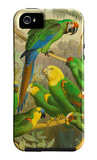 Tropical Birds I