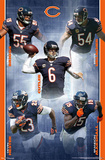 Chicago Bears 2012-13 Team
