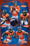 Denver Broncos 2012-13 Team