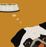 Peek-A-Boo: Pug