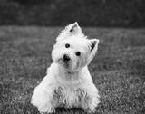Winnie