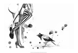 White Stripes