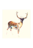 Deer Wearing Gym Socks
