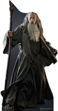 Gandalf - The Hobbit Movie Cardboard Stand Up Stand Up