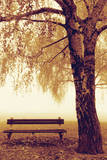 Park Bench