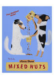 Mixed Nuts, Australian Shepherds
