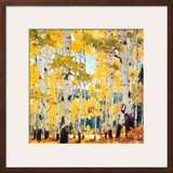 September Aspen