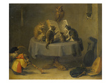 Cat and Monkey Concert