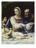 Virgin of the Veil, about 1520