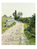 Sunny Path, about 1890