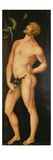 Adam, 1525