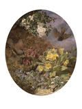 Winter Wrens Feeding their Young, 1876
