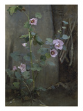 Mallows by a Wall