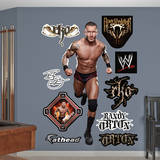 Randy Orton