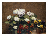Hydrangeas, Wallflowers and Two Pots of Pansies, 1879