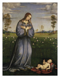 Madonna Im Rosenhag