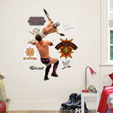 Rey Mysterio Aerial Jr.