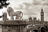 London - Lion