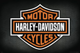 Harley Davidson Logo