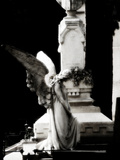 Angel of Love
