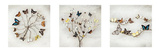 Ian Winstanley - Wings of Nature