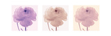 Flourish Triptych