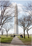 Washington Monument DC