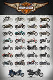 Harley Evolution