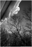 Icicles on Gutter