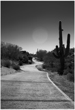 Cart Path on Desert Golf Course Arizona