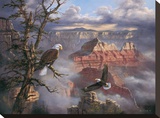 Lofty Perch