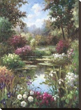 Reflections Of Spring