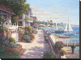 Private Harbor