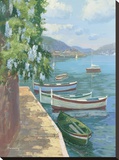 Ville Franche