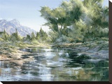 Oak Creek Morning