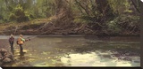 Upstream