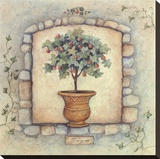 Figs Topiary