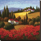 Tuscan Poppies