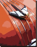 Tail Fins And Two Tones V